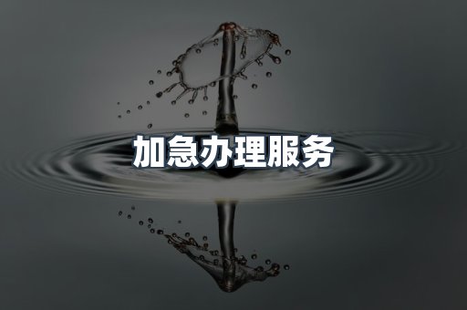 加急办理服务