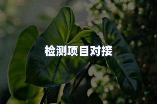 检测项目对接