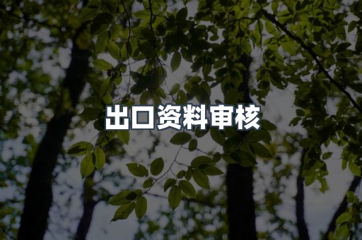 出口资料审核